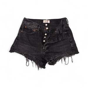 AGOLDE Parker Vintage Cut Off Shorts